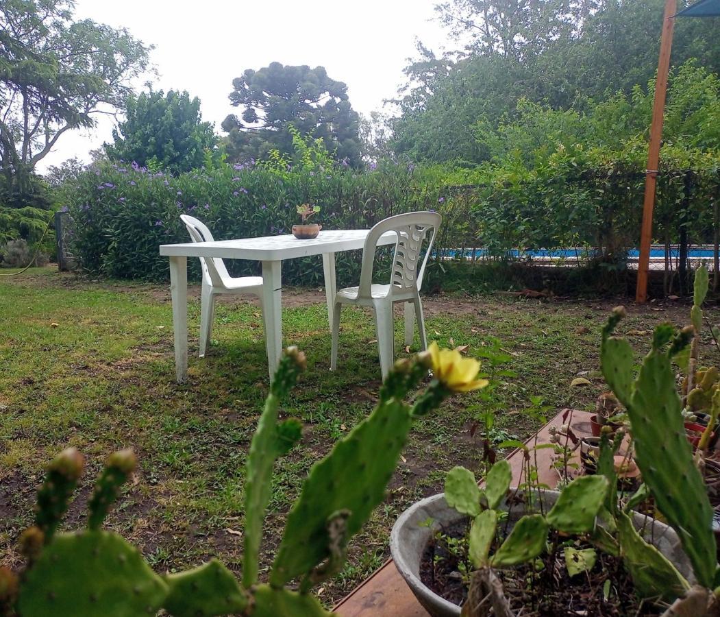 Apartamento Monoambiente Con Pileta Y Jardín Arbolado *
