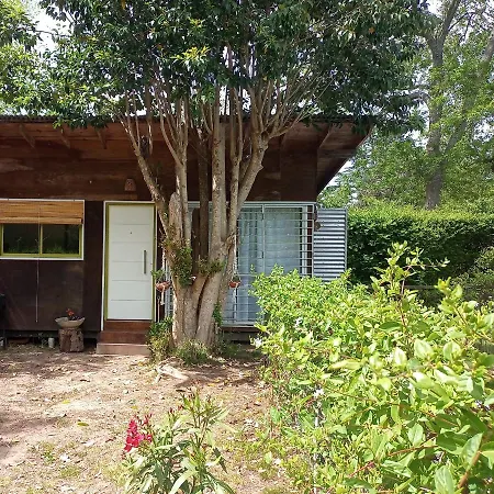 Cabana Monoambiente Con Pileta Y Jardin Arbolado Villa Elisa  Exterior photo