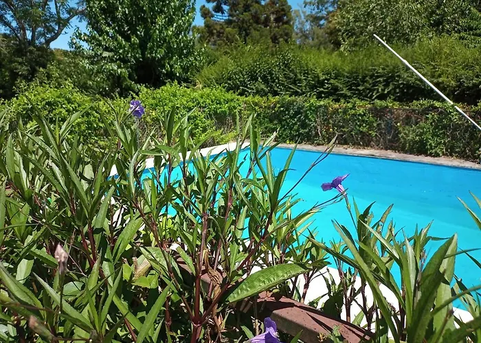 Cabana Monoambiente Con Pileta Y Jardin Arbolado