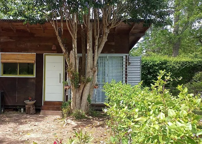 Cabana Monoambiente Con Pileta Y Jardin Arbolado