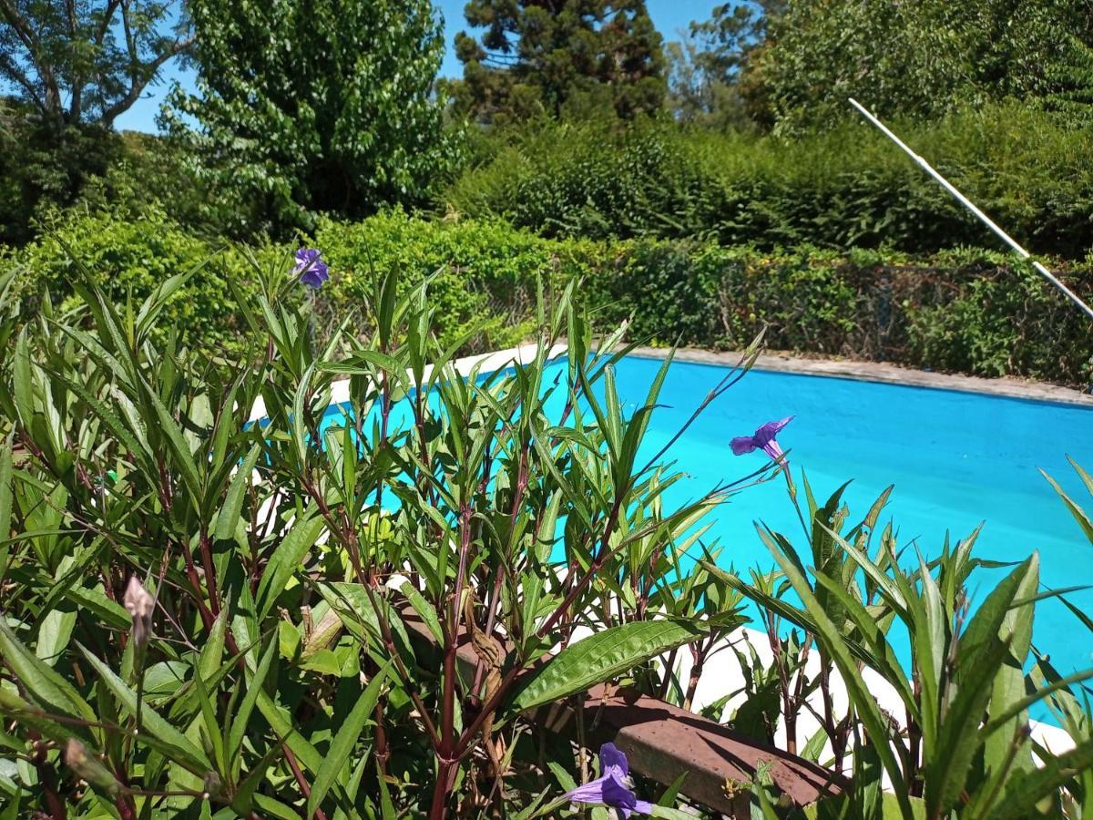 Monoambiente Con Pileta Y Jardin Arbolado Apartment