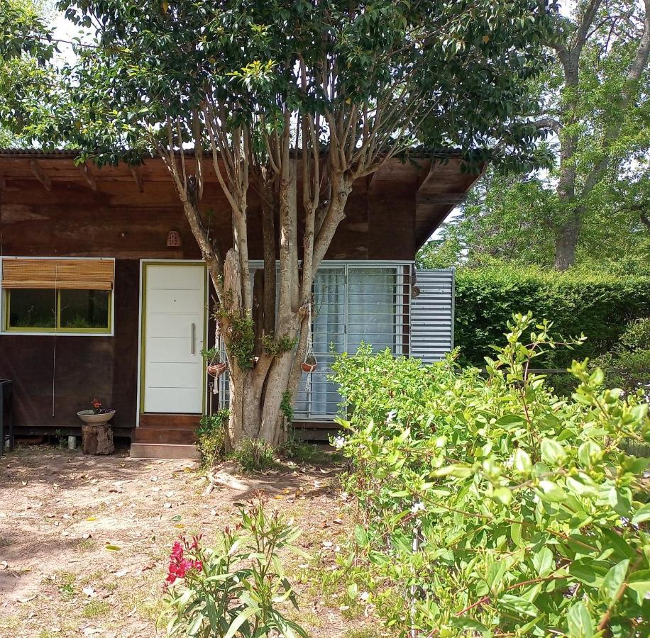 Monoambiente Con Pileta Y Jardin Arbolado * Villa Elisa (Buenos Aires)